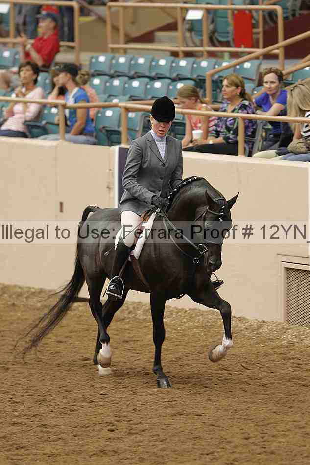Proof 12yn_09920