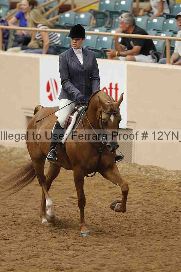 Proof 12yn_09921