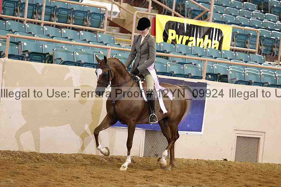 Proof 12yn_09924