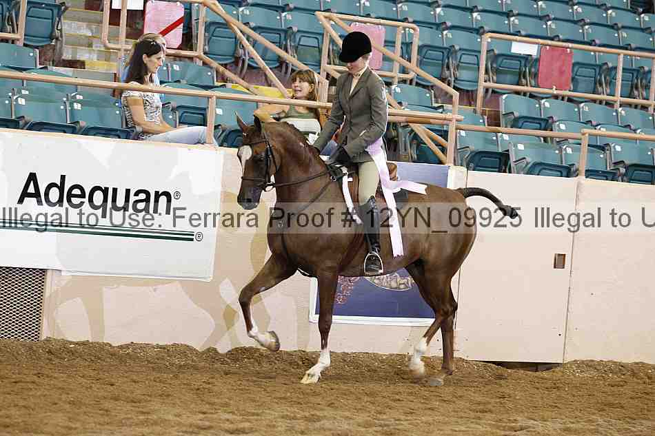 Proof 12yn_09925