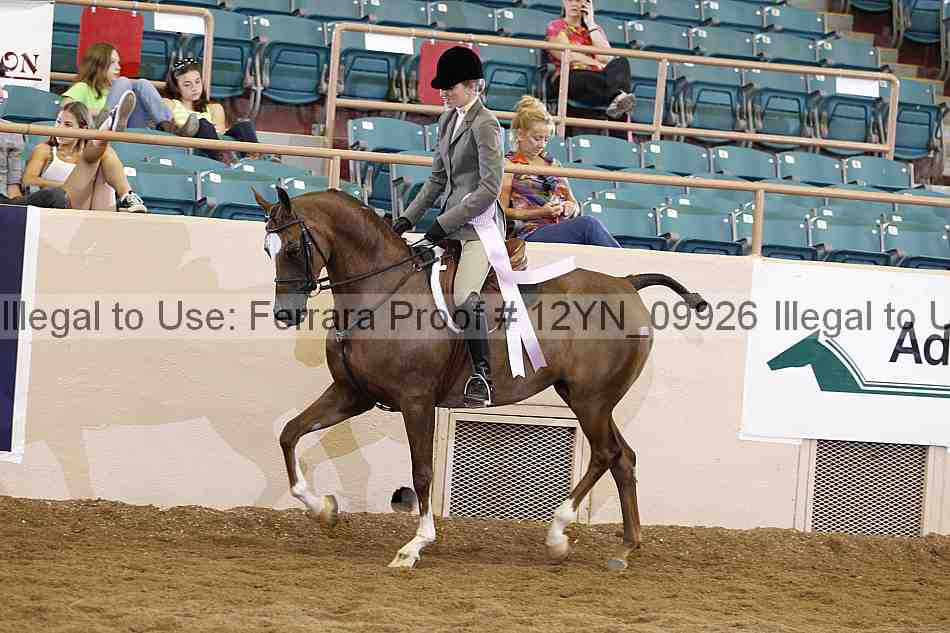 Proof 12yn_09926