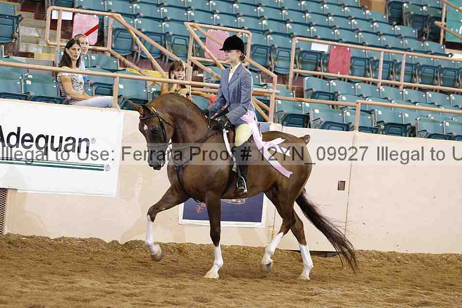Proof 12yn_09927