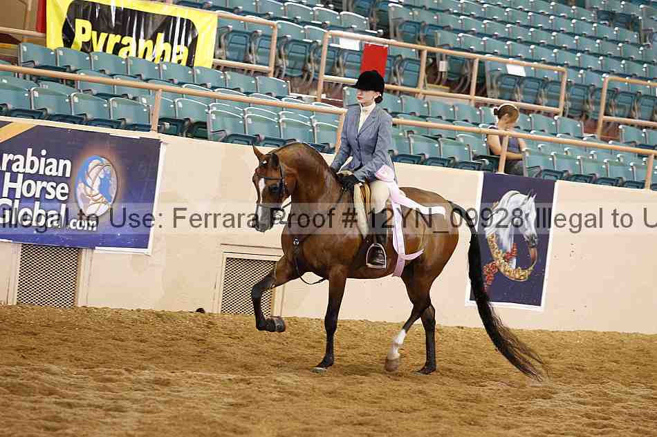 Proof 12yn_09928