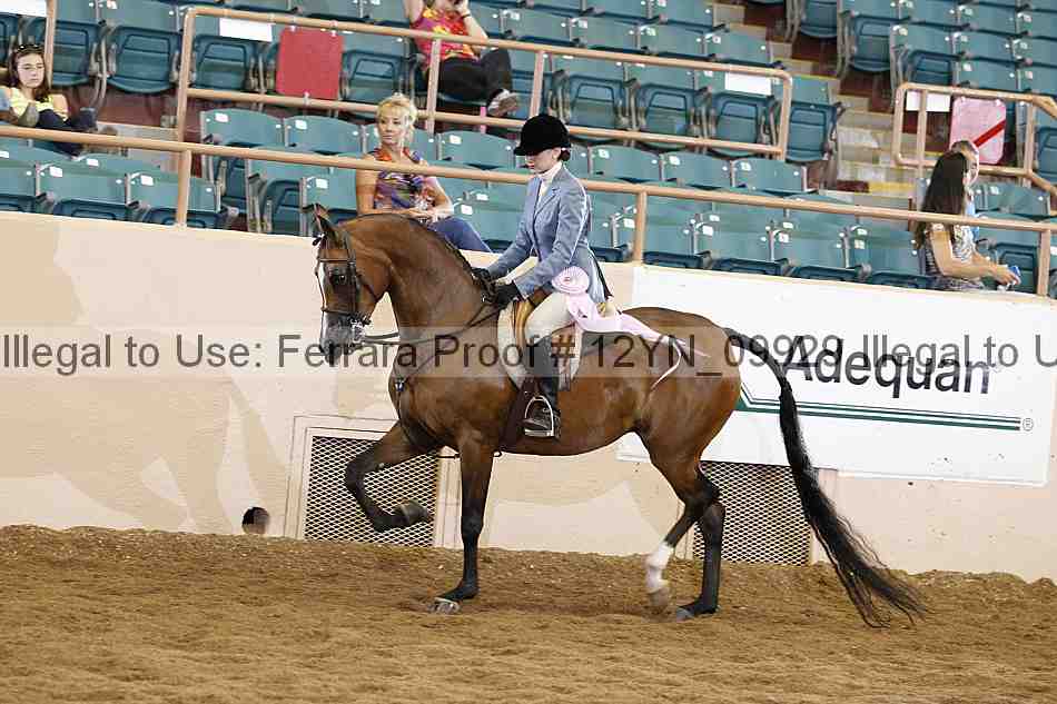 Proof 12yn_09929