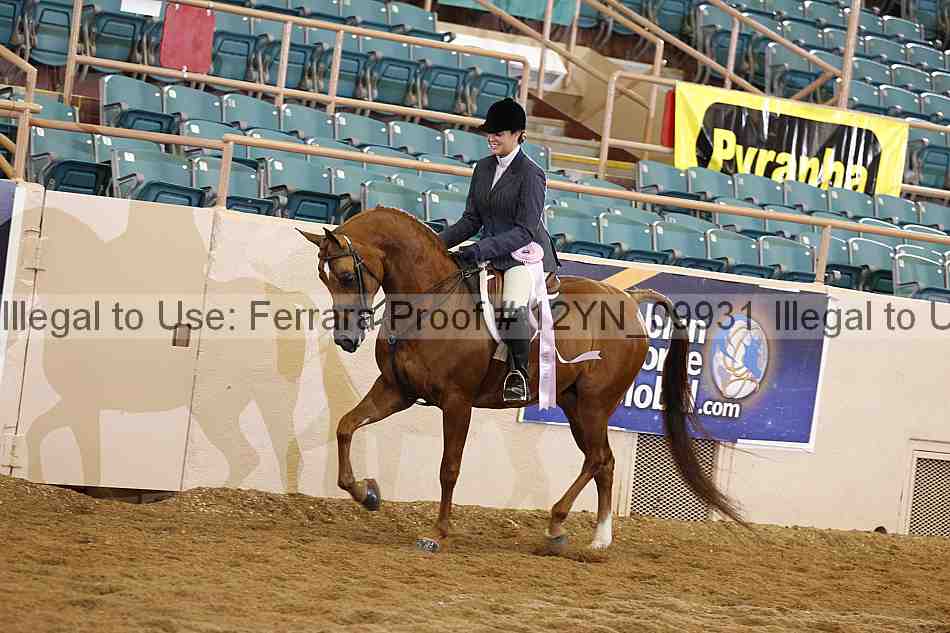 Proof 12yn_09931