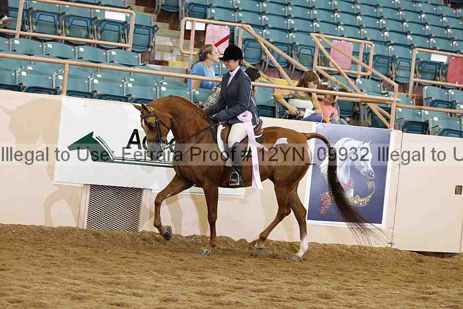 Proof 12yn_09932