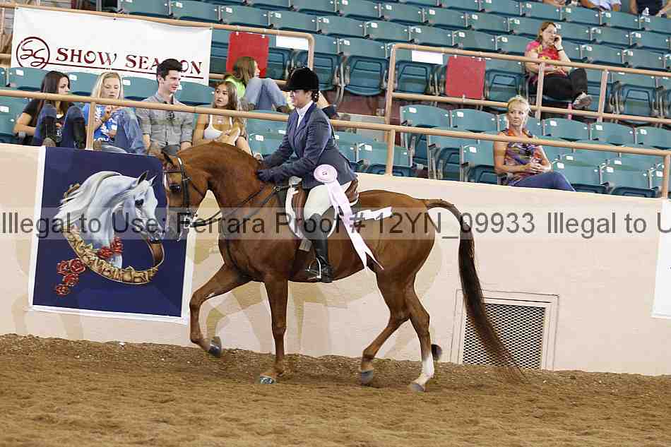 Proof 12yn_09933