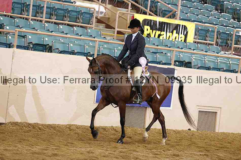 Proof 12yn_09935