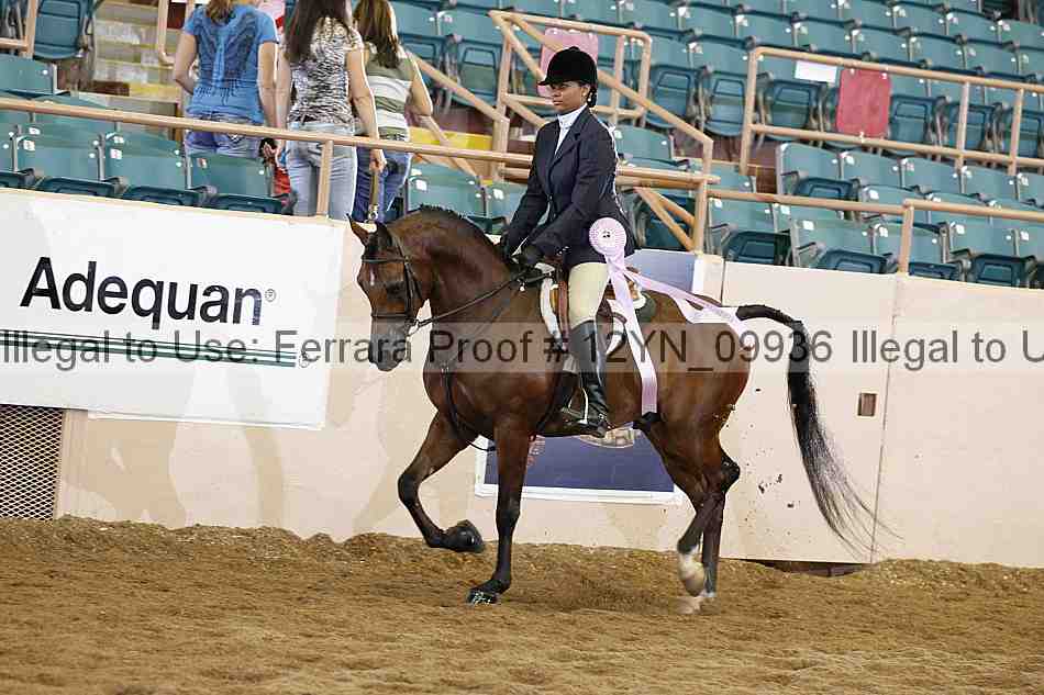 Proof 12yn_09936