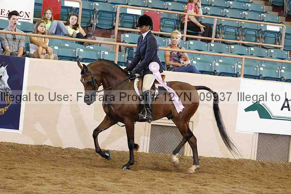 Proof 12yn_09937