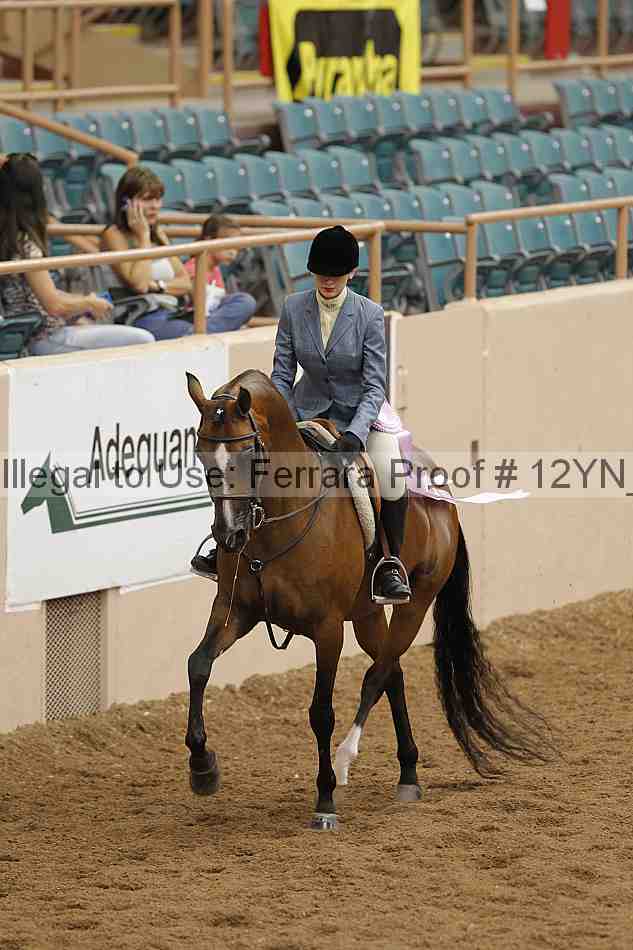 Proof 12yn_09938