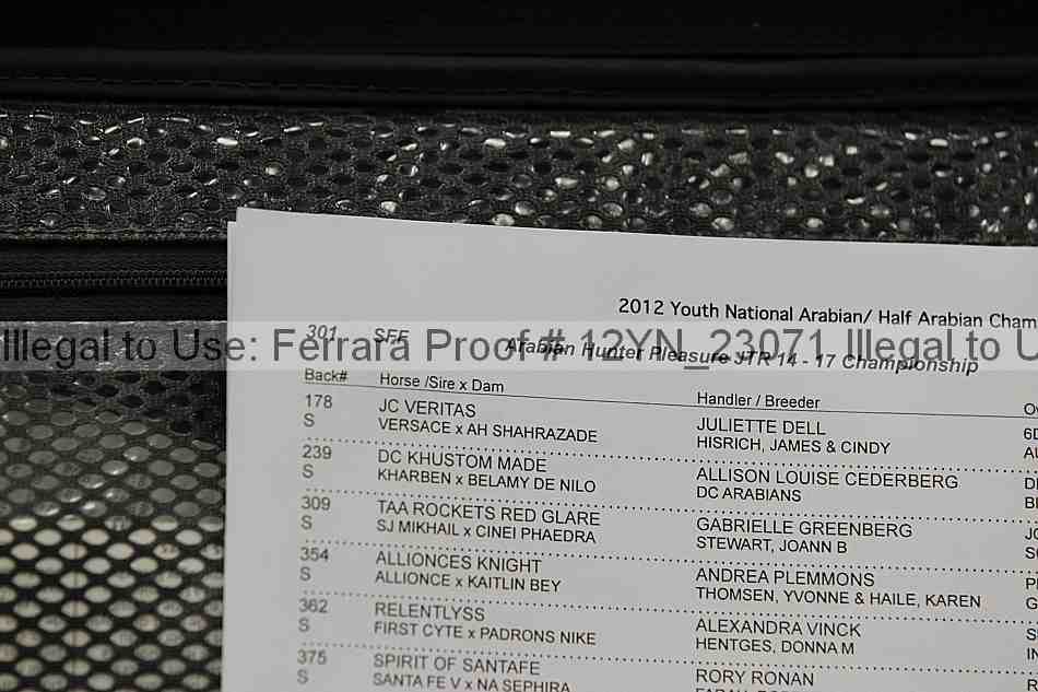 Proof 12yn_23071