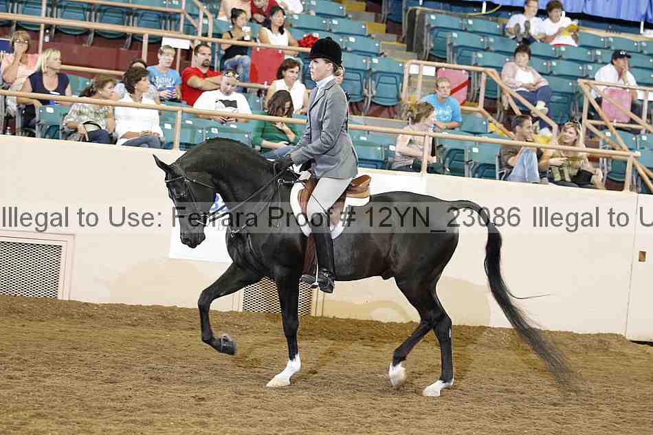 Proof 12yn_23086
