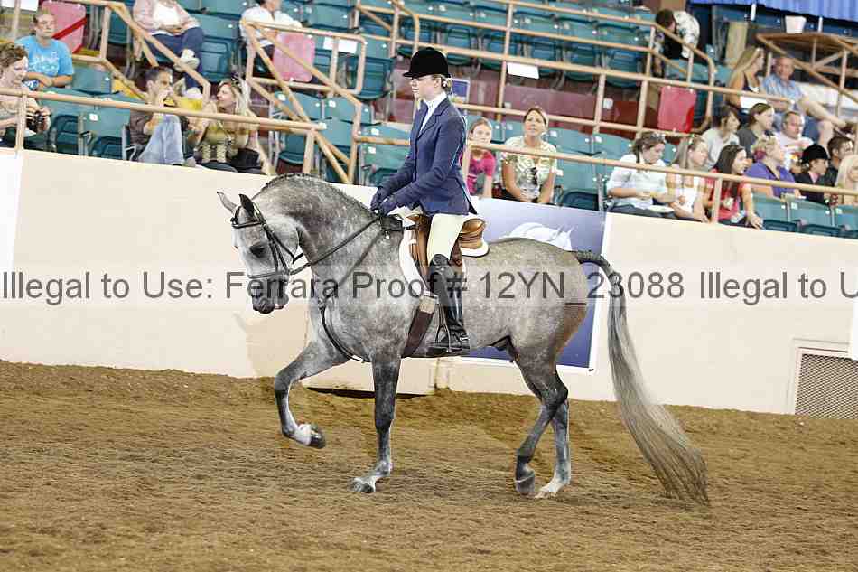 Proof 12yn_23088