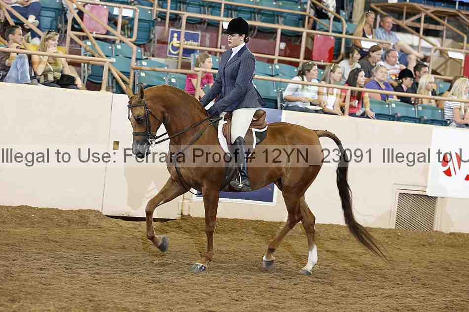 Proof 12yn_23091