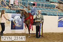 12yn_23141 proof