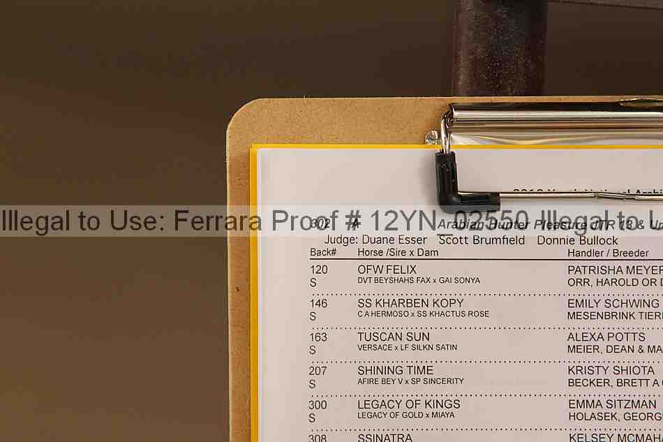 Proof 12yn_02550