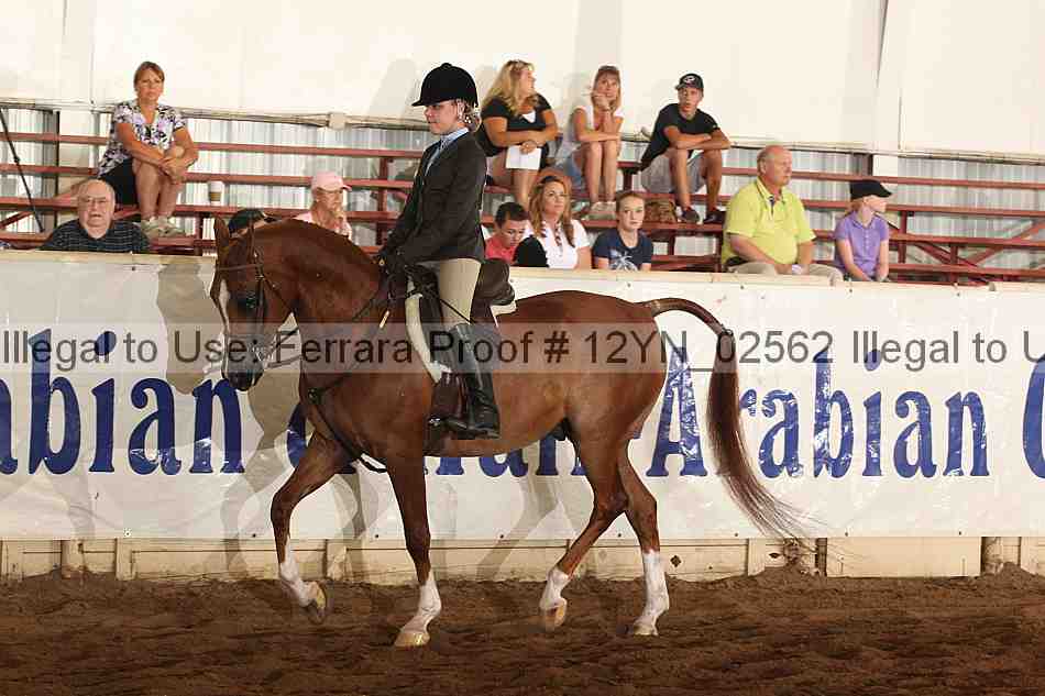 Proof 12yn_02562