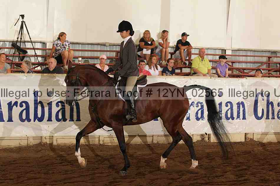 Proof 12yn_02565