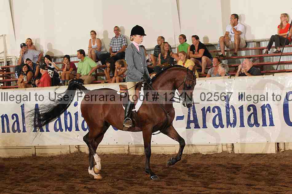 Proof 12yn_02567