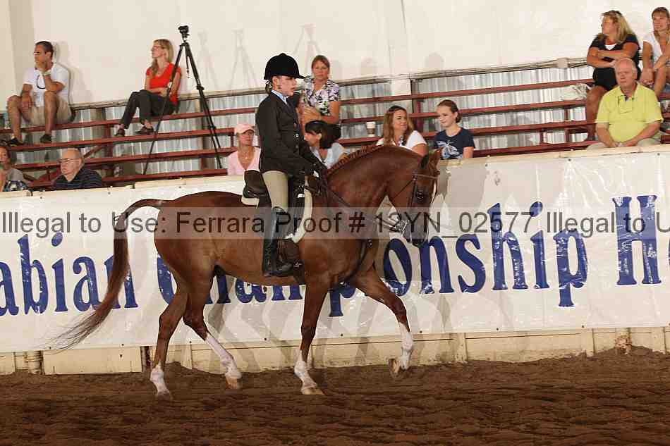 Proof 12yn_02577