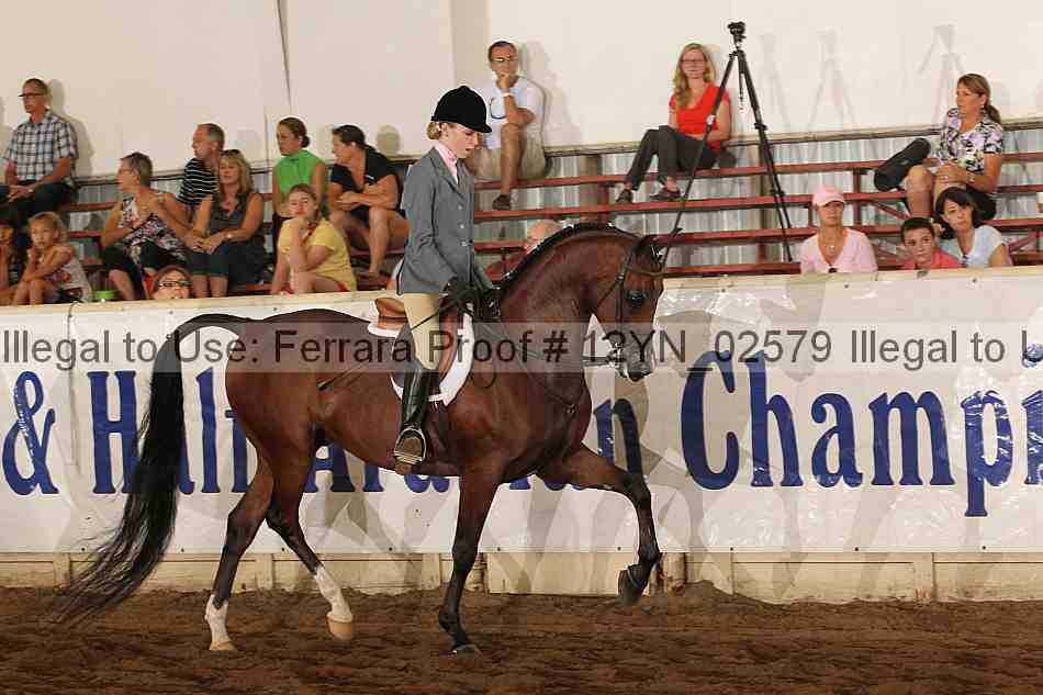 Proof 12yn_02579