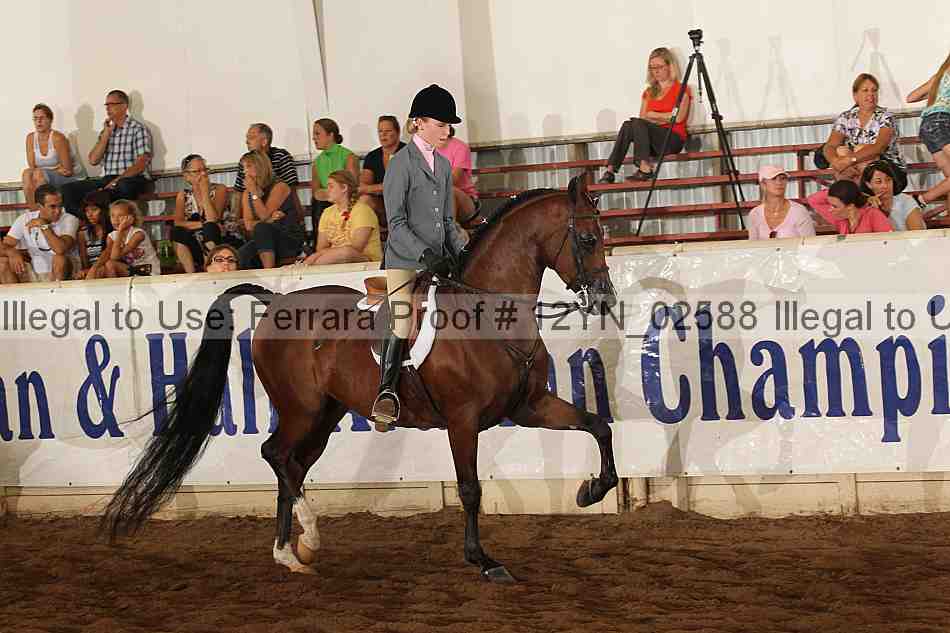 Proof 12yn_02588