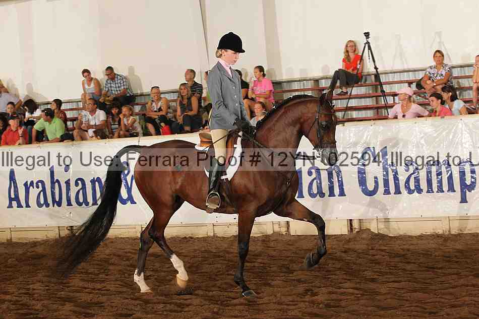 Proof 12yn_02594