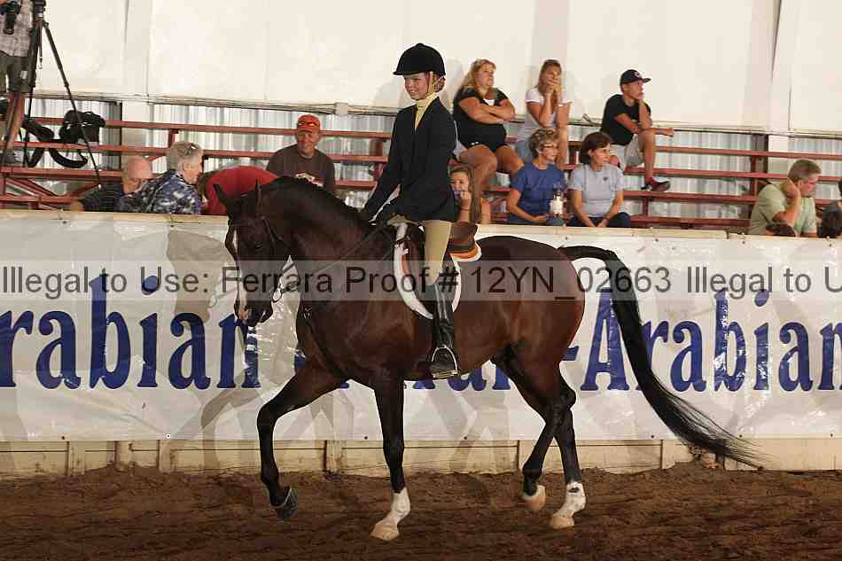 Proof 12yn_02663