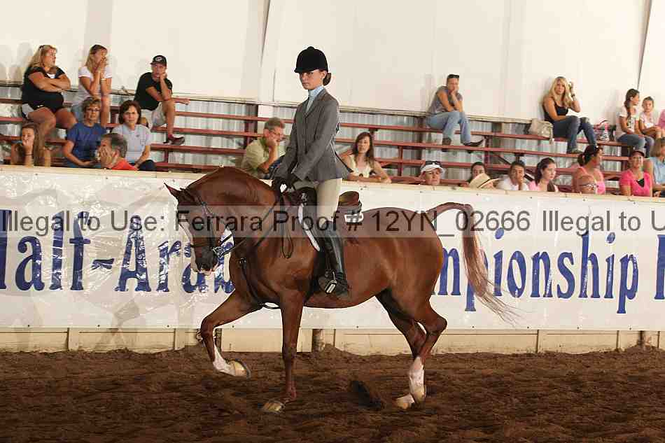 Proof 12yn_02666