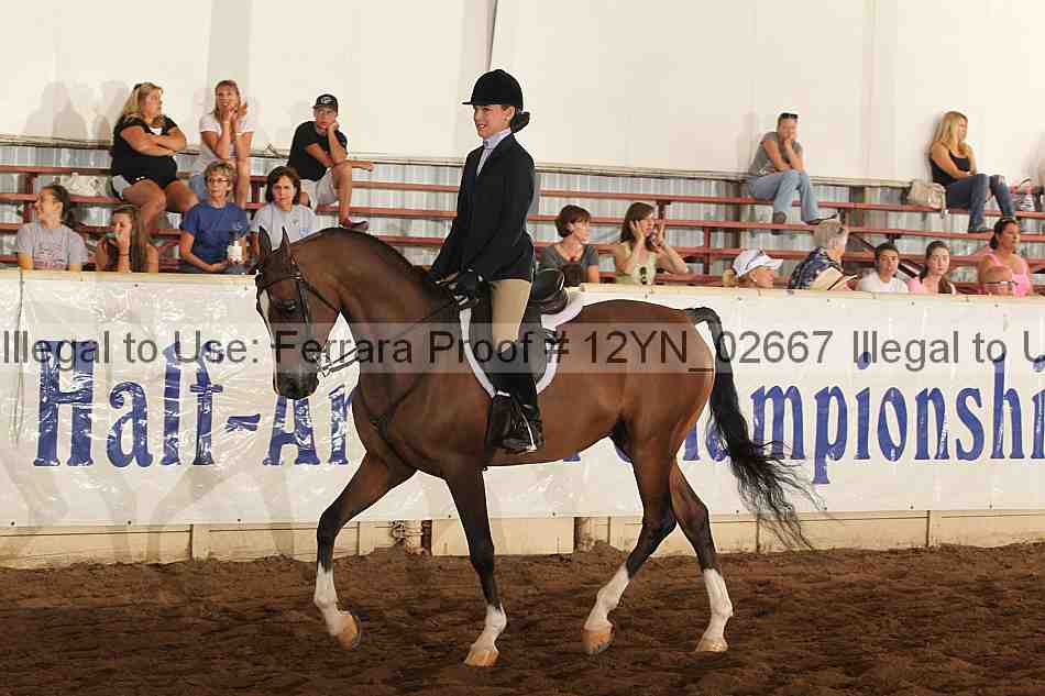 Proof 12yn_02667