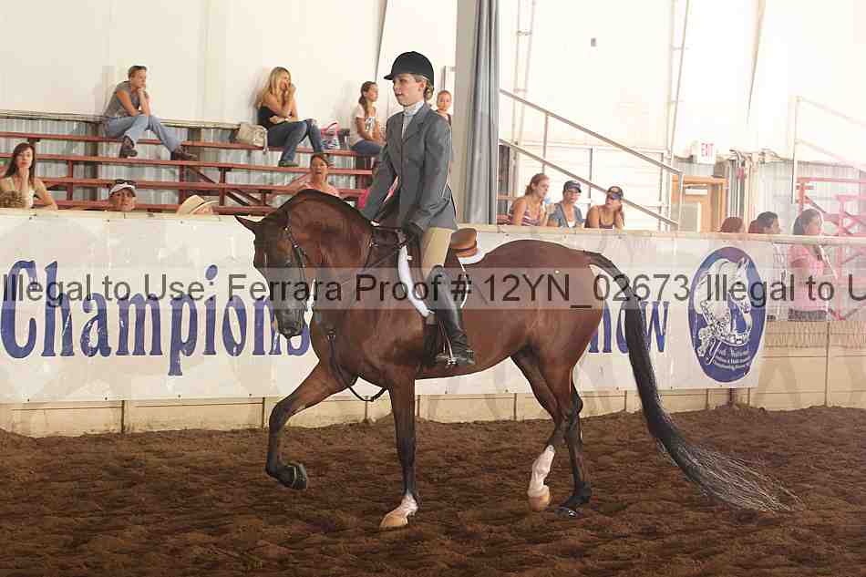 Proof 12yn_02673