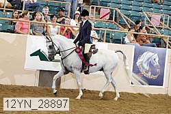 12yn_28897 proof