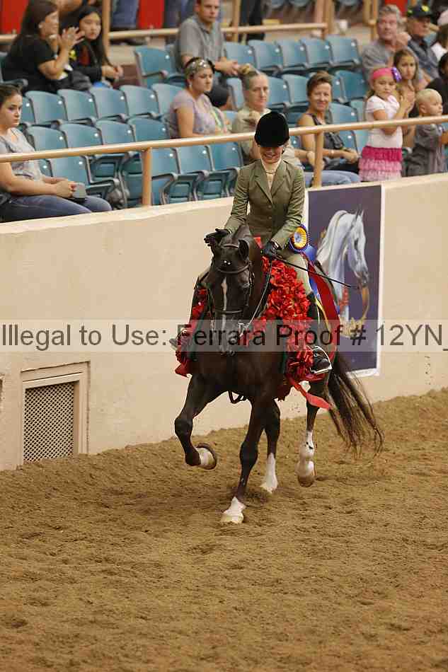 Proof 12yn_28925