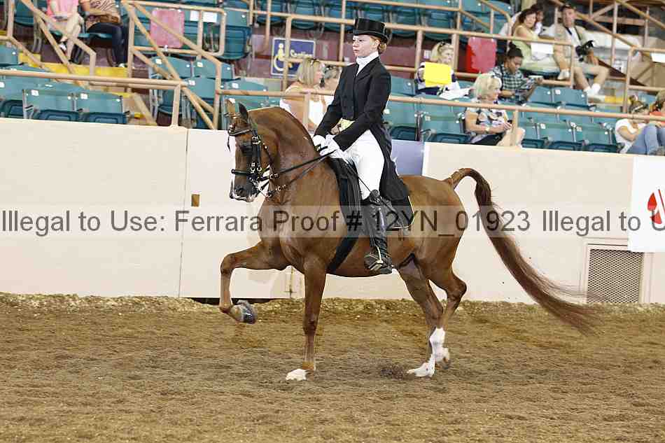 Proof 12yn_01923
