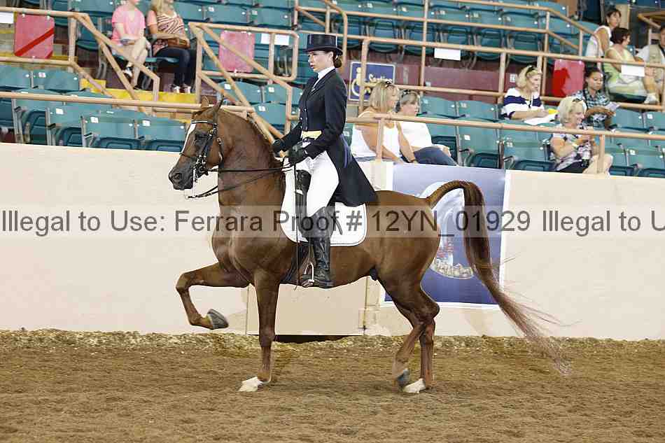 Proof 12yn_01929