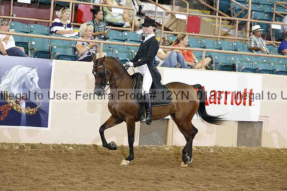 Proof 12yn_01931
