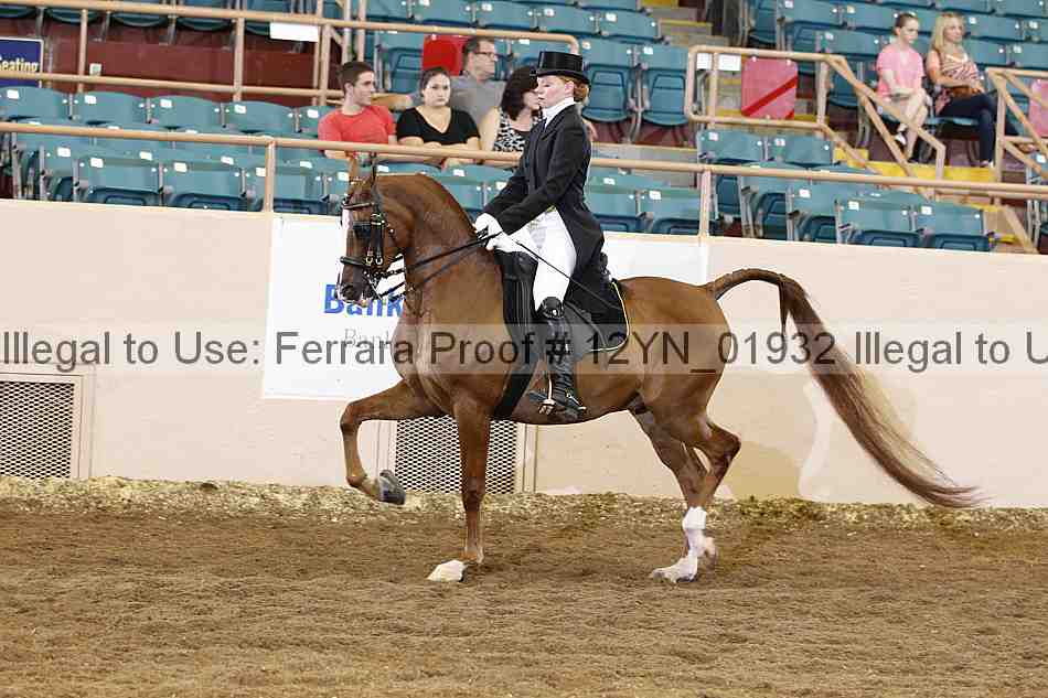 Proof 12yn_01932