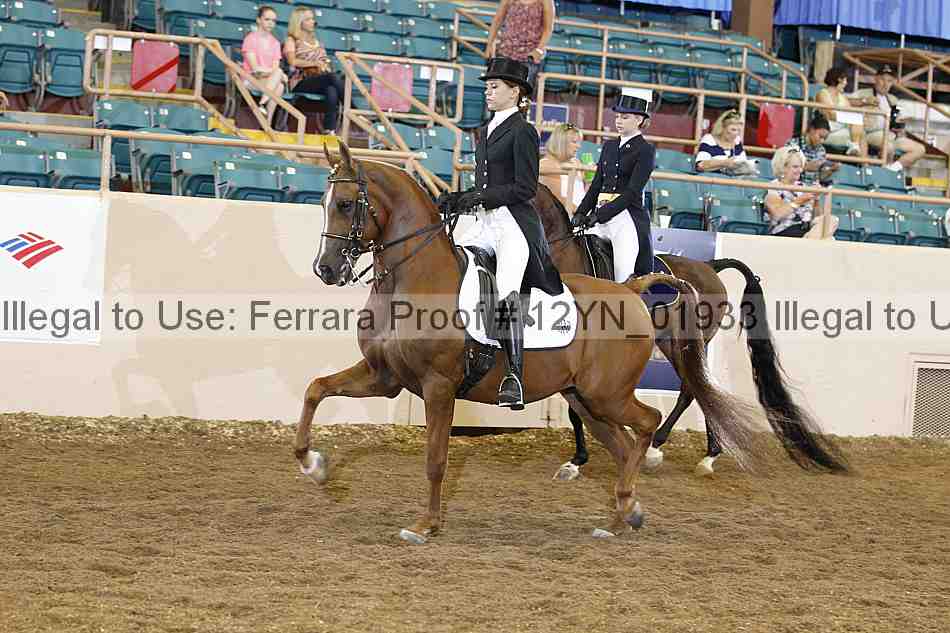 Proof 12yn_01933