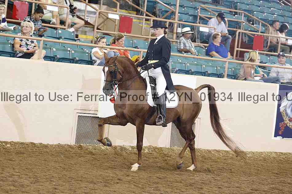 Proof 12yn_01934