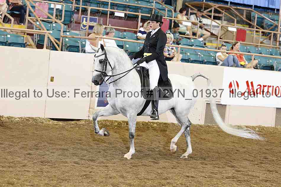 Proof 12yn_01937
