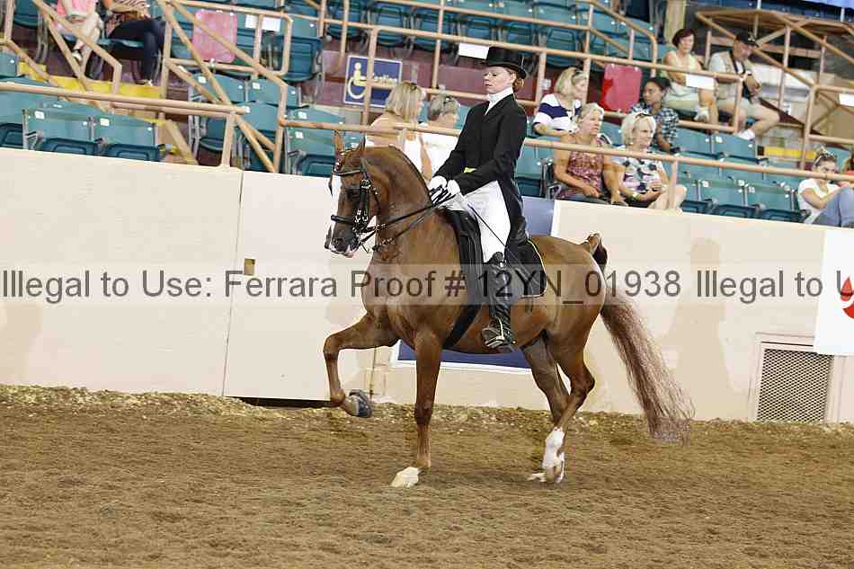 Proof 12yn_01938