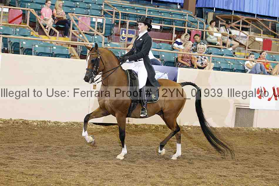 Proof 12yn_01939