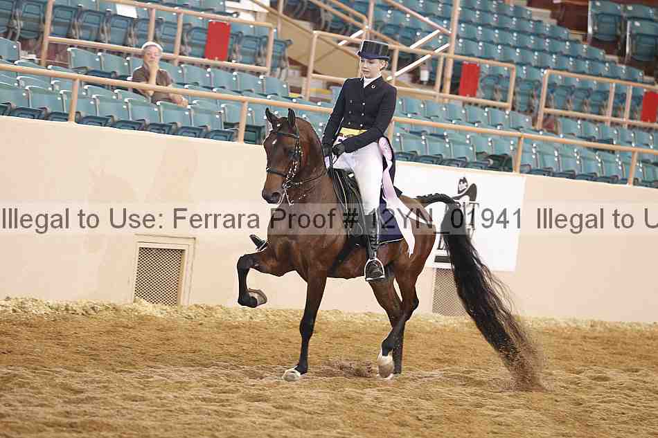 Proof 12yn_01941