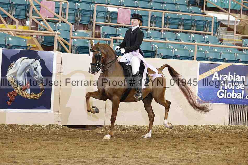 Proof 12yn_01945