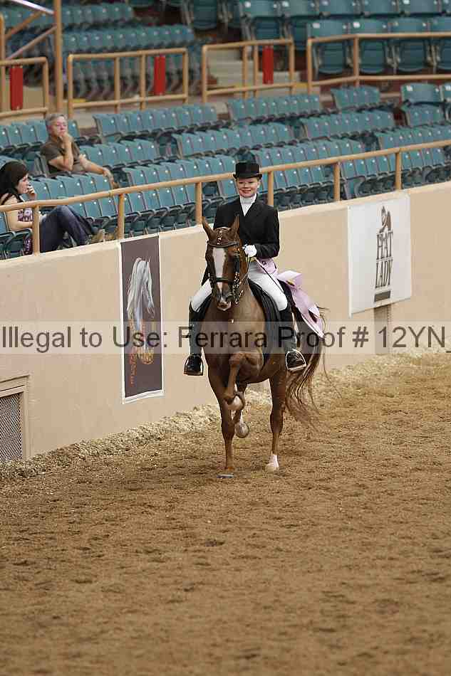 Proof 12yn_01950