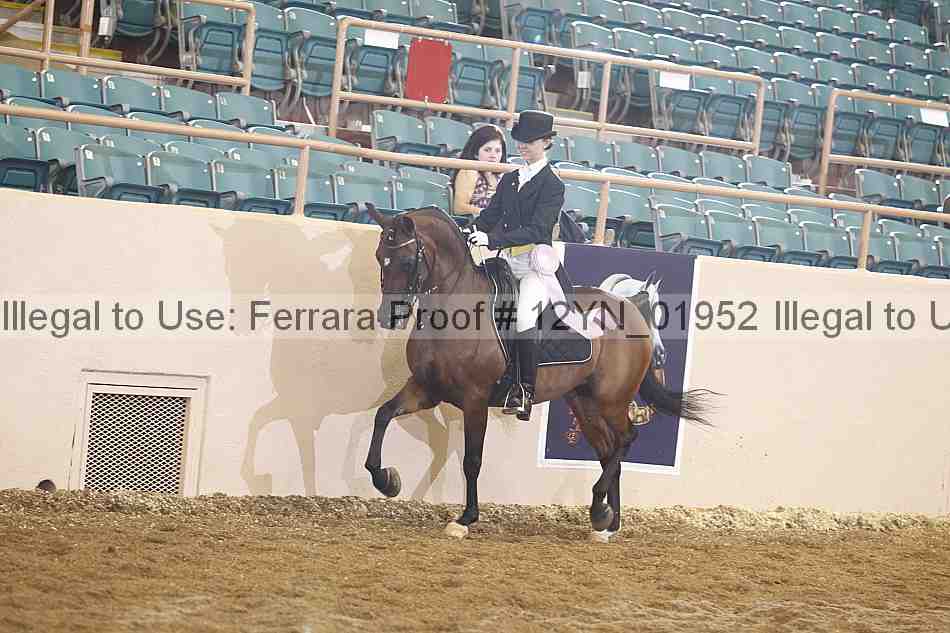 Proof 12yn_01952