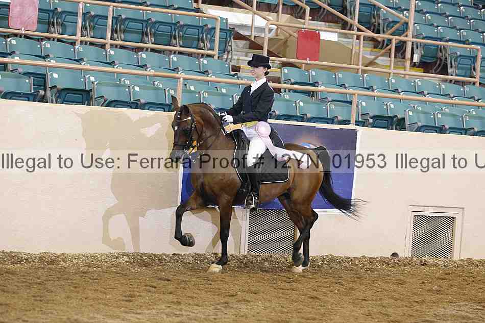 Proof 12yn_01953
