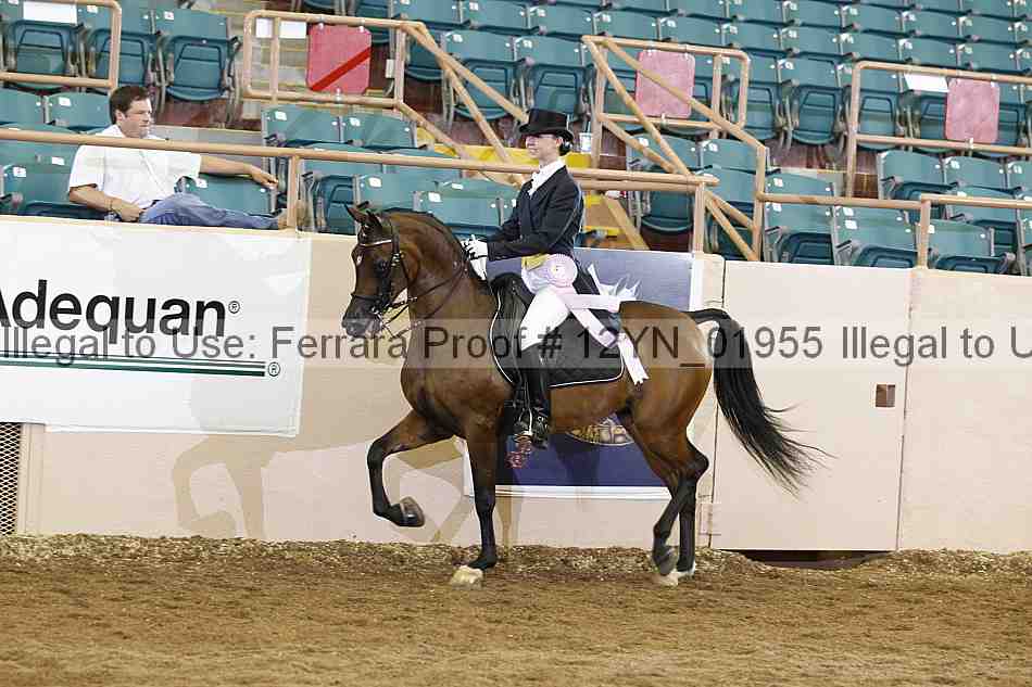 Proof 12yn_01955
