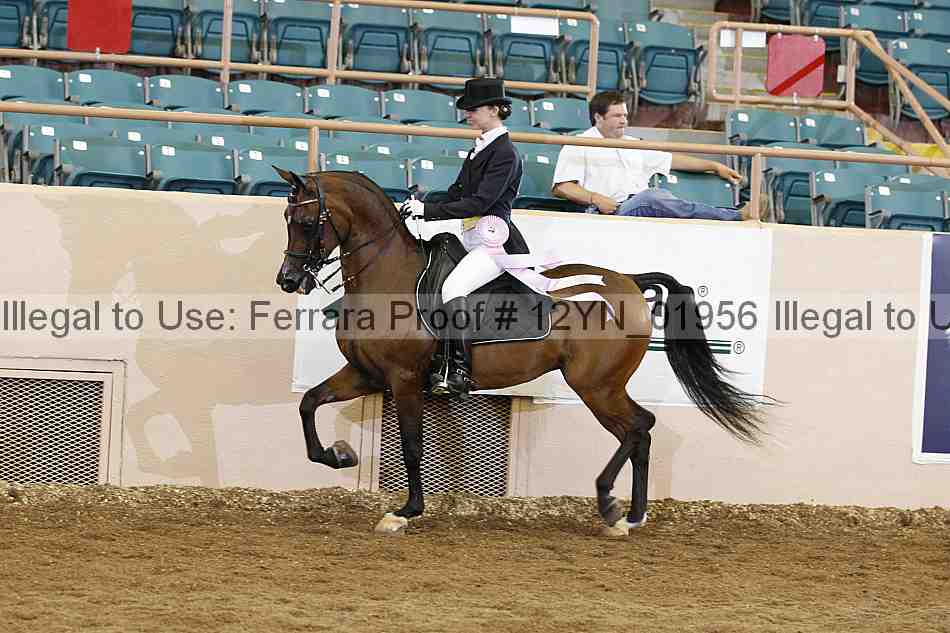 Proof 12yn_01956